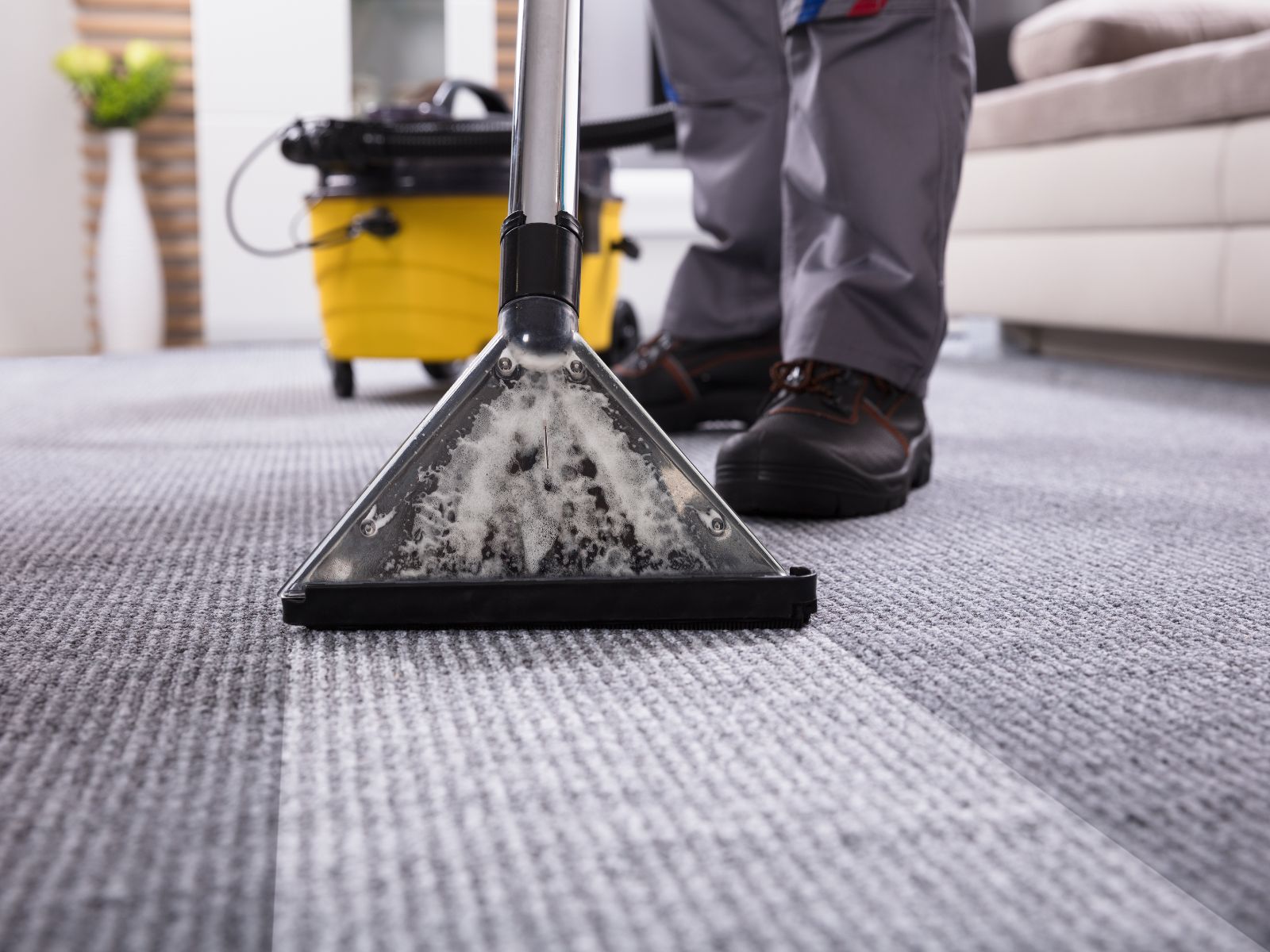 Expert Cleaning Services for Busy DFW Residents